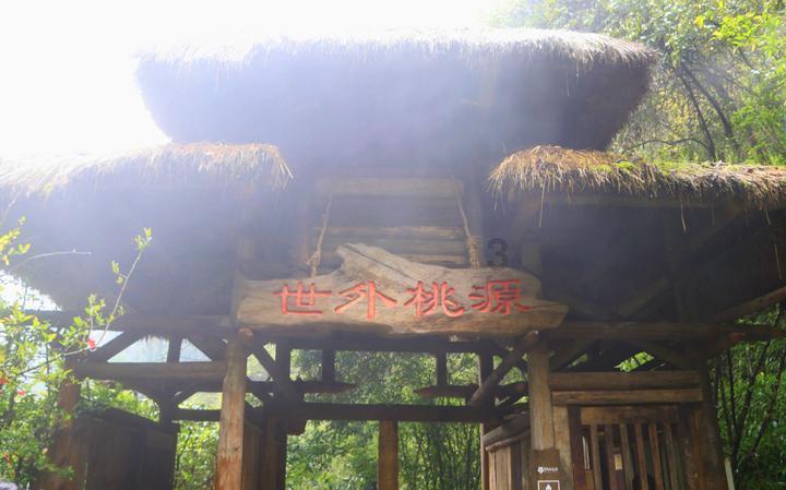 夏日网上购物