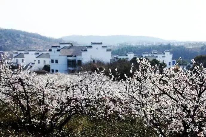 武动乾坤