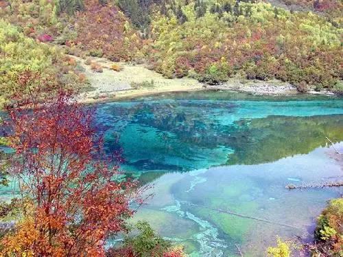 龙芯中科2023年预亏3.1亿 2022上市募24.6亿扣非亏损